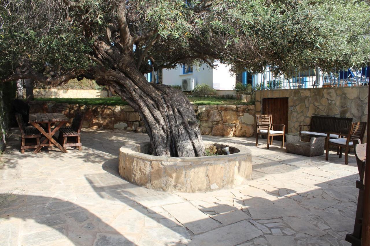 Olive Beach Villa Peyia Bagian luar foto
