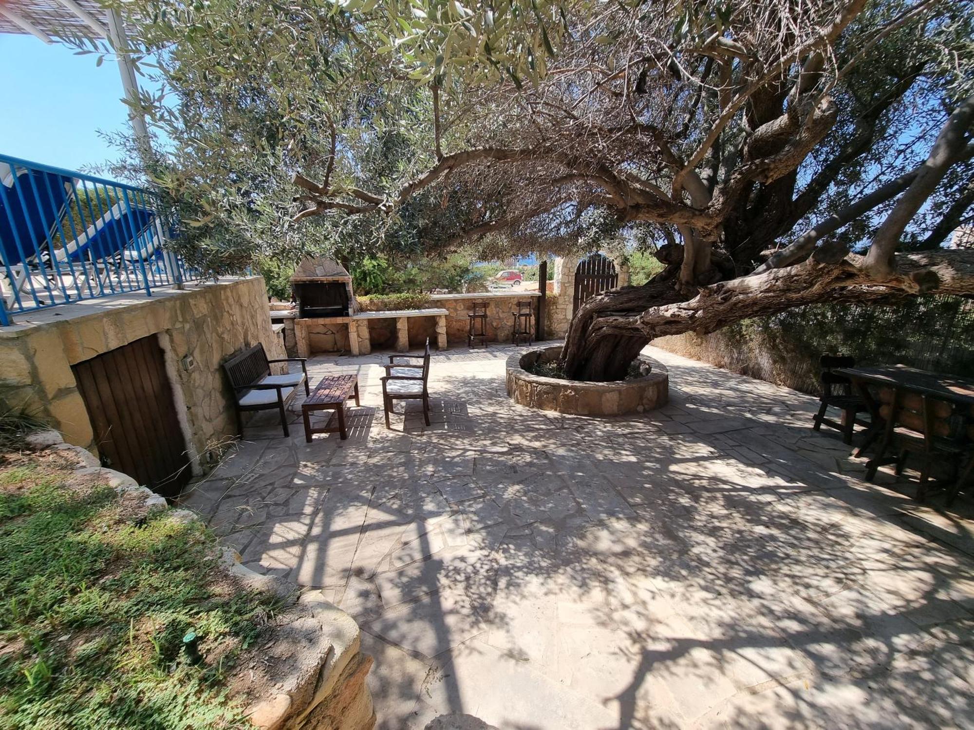 Olive Beach Villa Peyia Bagian luar foto