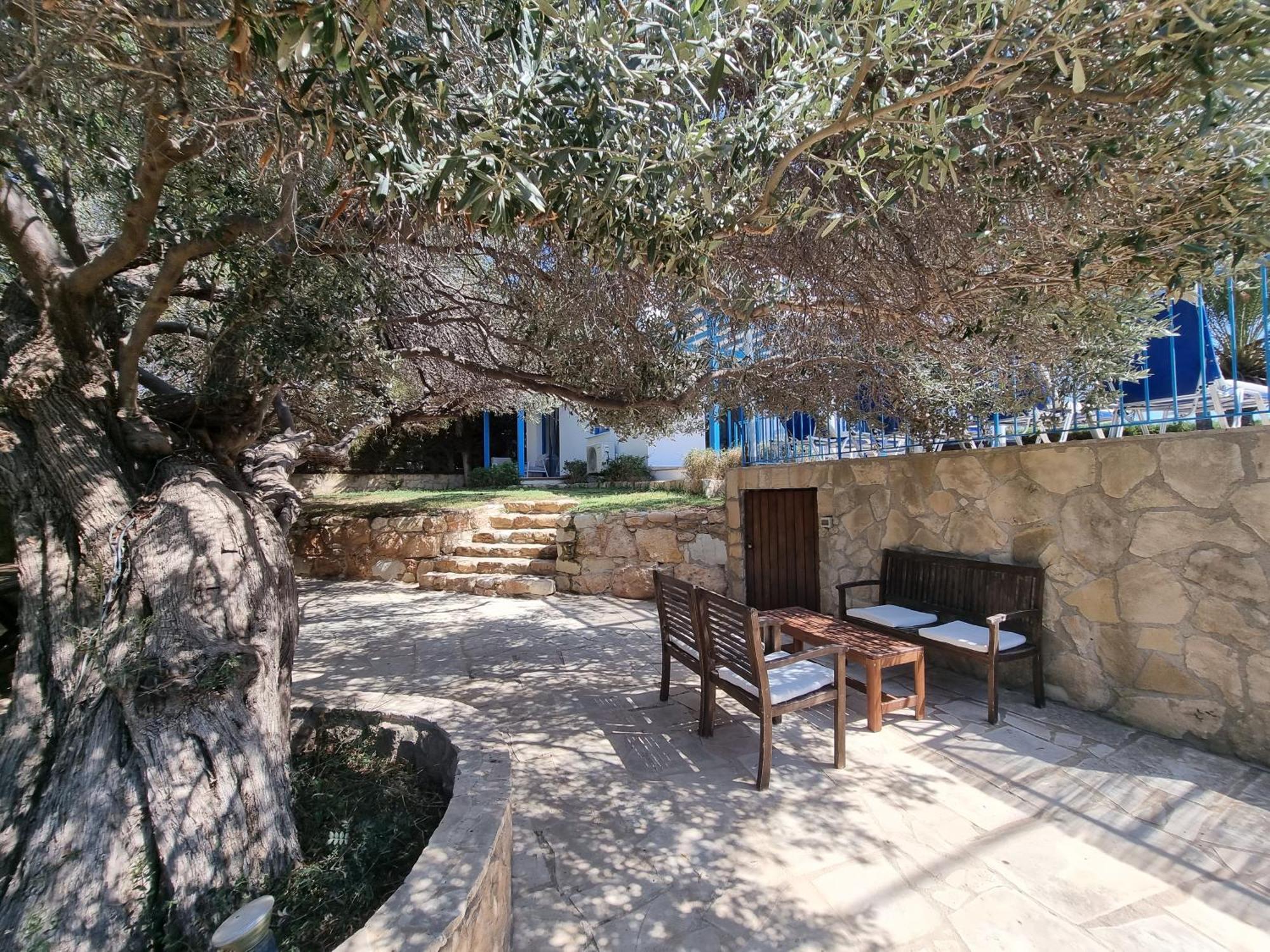 Olive Beach Villa Peyia Bagian luar foto